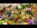 Discover the Hidden Beauty of Wild Birds 🌸🐦 Spring’s Best-Kept Secrets in a Magical Wonderland