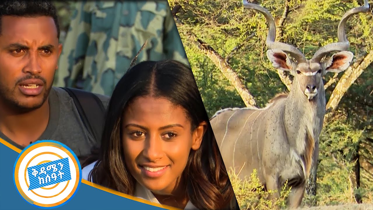 በሶደሬ ዘና ብለን ወደ ደራ ደልፊክር ፓርክ ተጉዘን ብርቅዬዎቹን በቅርበት አይተናል/በቱሪስቶች ዓይን//በቅዳሜ ከሰአት/