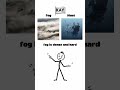 Difference you need to know!