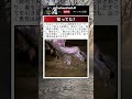 尾に隠された役割