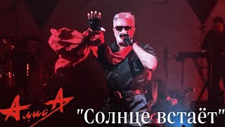 картинка: 11.11.23 - АлисА - 