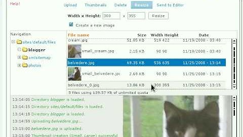 Drupal--add-images-with-tinymce-and-imce