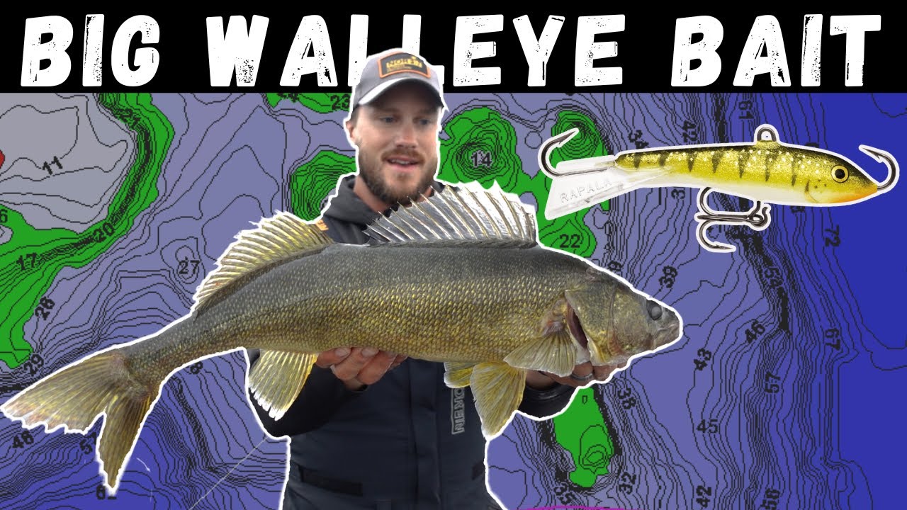 The BEST Bait for BIG Walleyes  How to Fish a Jigging Rap + Tips