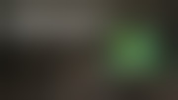 No Holds Barred!: Ultimate List of Hemp Strains