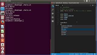 Shell Scripting Tutorial for Beginners 2   using Variables and Comments 3