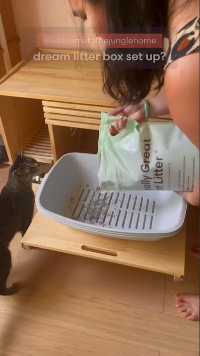 Midcentury Modern Litter Box??