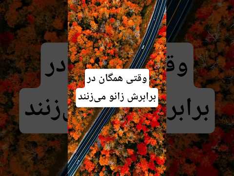 وقتی همگان در برابرش زانو می زنند