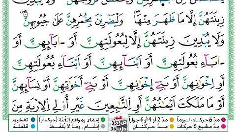 سورة النور برواية ورش للقارئ الشيخ توفيق نوري