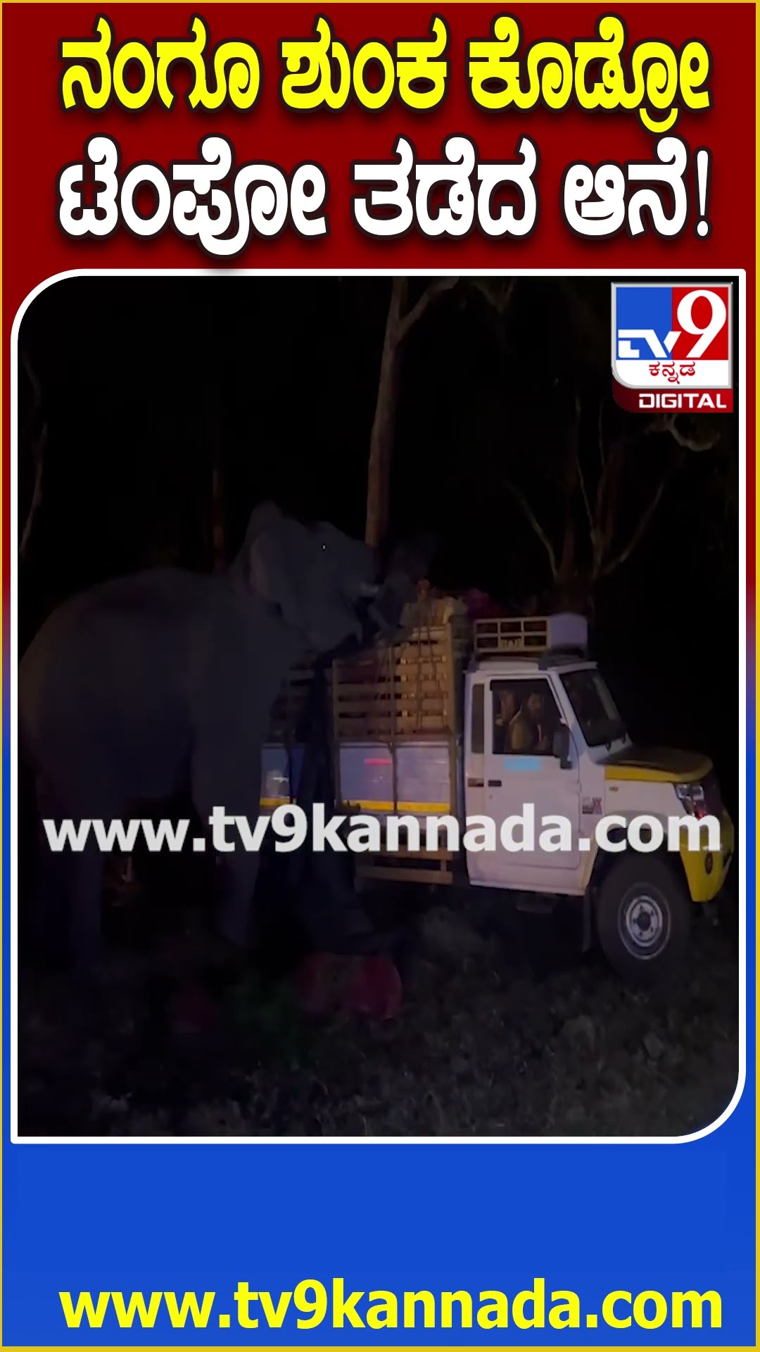Bandipur elephant ಉಪಟಳಕ್ಕೆ, ರೋಸಿ ಹೋದ ತರಕಾರಿ ಟೆಂಪೋ ಸವಾರರು | #TV9D