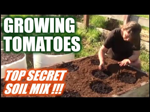 Growing Tomatoes In Raised Beds And Containers | Secret Soil Mix