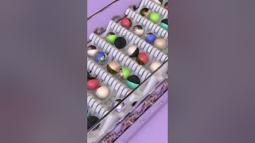 Oddly Satisfying 3D animation Video | ASMR | Rolling Balls | #shorts #oddlysatisfyingvideo #3D