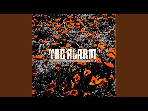 The Alarm - True Life