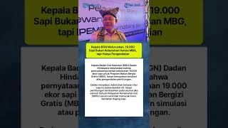 Kepala Bgn Meluruskan 19000 Sapi Bukan Kebutuhan Harian Mbg Tapi Hanya Pengandaian