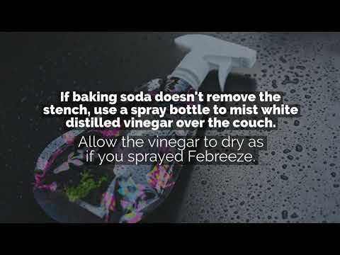 Remove Musty Smells From Upholstered Furniture Lynnwood Remove Musty Smells From Upholstered, How To Get Rid Of Musty Smell In Upholstered Furniture