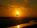 "A Light in the Darkness" Original Song