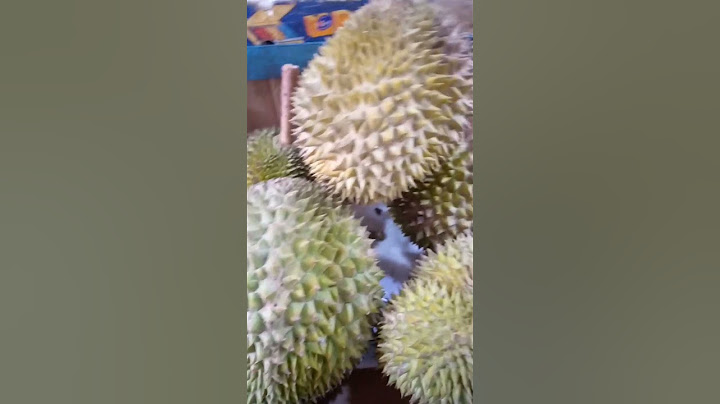 DURIAN FRUIT #shorts #shortvideo