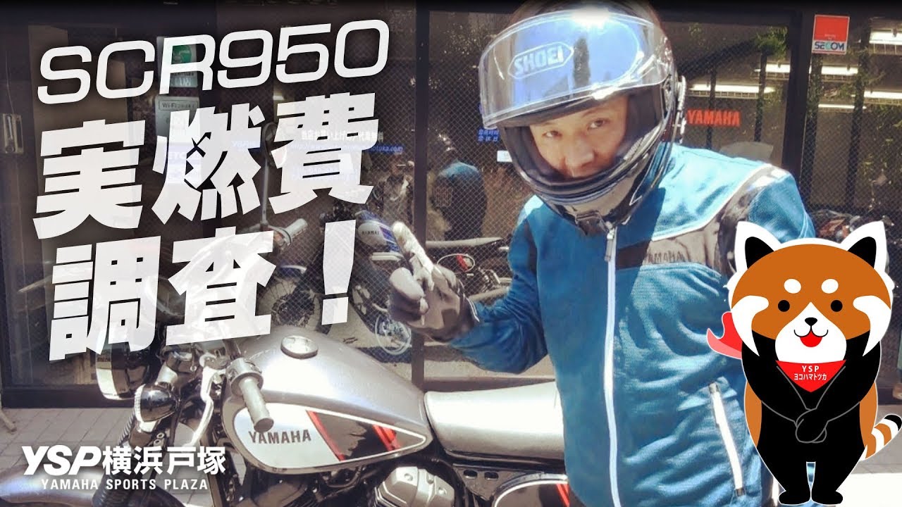 Actual fuel consumption survey of YAMAHA SCR950! by YSP Yokohama