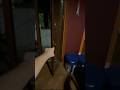 Se VEDI queste Due Gemelle SCAPPA SUBITO altrimenti…😰 #shorts #horror #paura #brookhaven #roblox