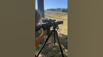 22LR Binary trigger with CMMG conversion kit