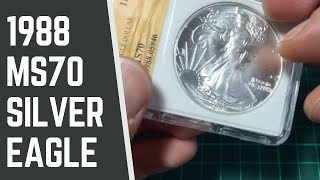 1988 Proof Silver Eagle - MS70