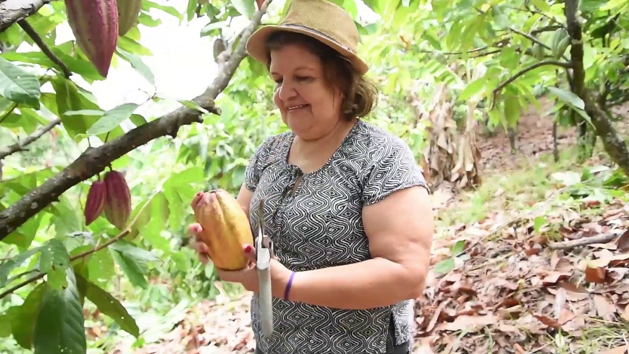 Conoce la historia de Margarita Salazar, cacaotera apoyada por Banco