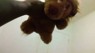 Mr Lion Farting Problem