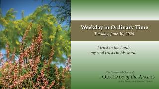 Tuesday, June 30, 2026 (8:00am) - Daily Mass in the 13th Week in Ordinary Time