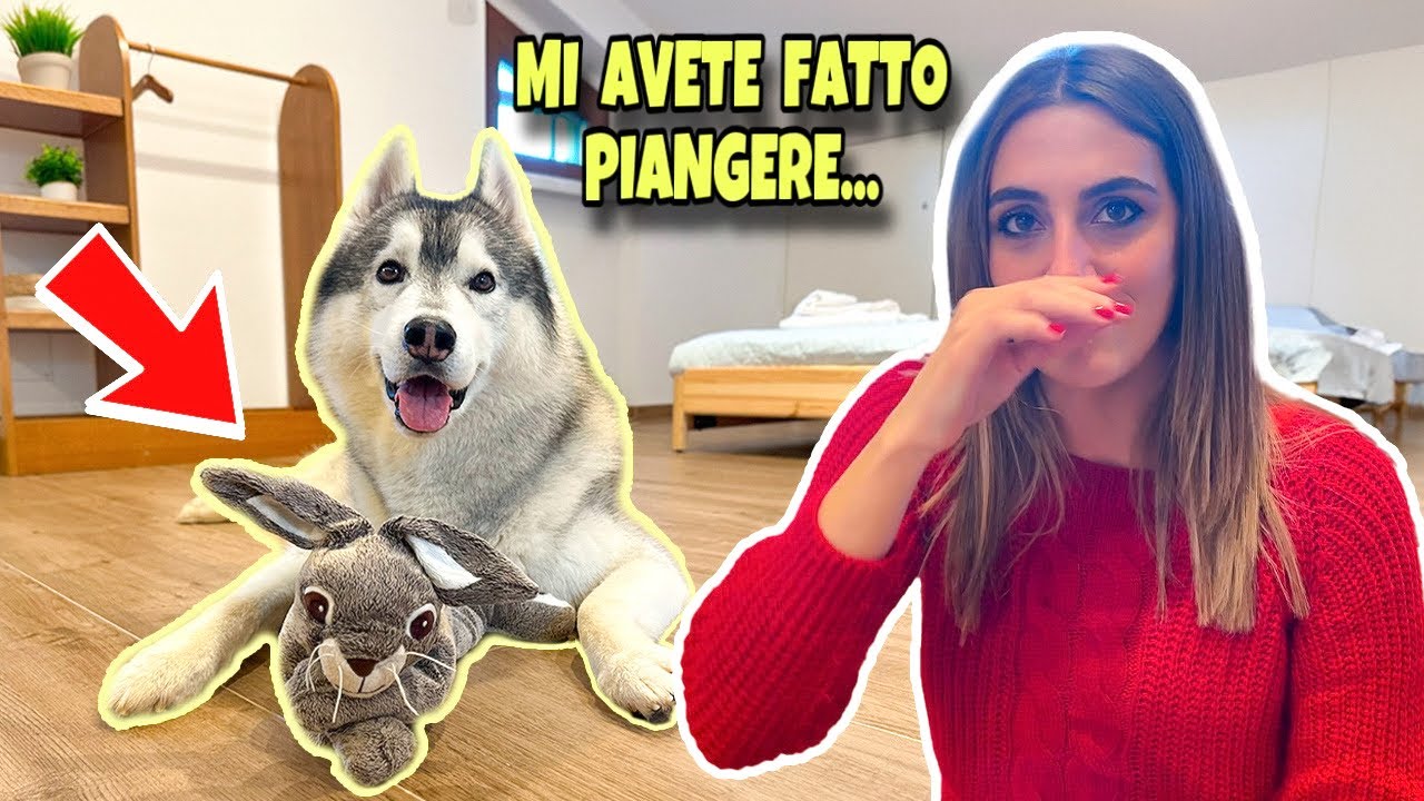 UNA FAN MI HA FATTO PIANGERE… *SORPRESA SUPER EMOZIONANTE* 😭❤️ | MARTY E YUKO