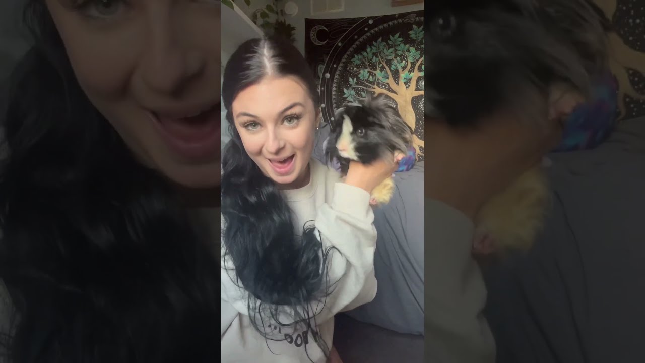 Meet All My Pets Their Problems Funnyanimals Funny Enjoy Funnypets Comment Sub Cutepets