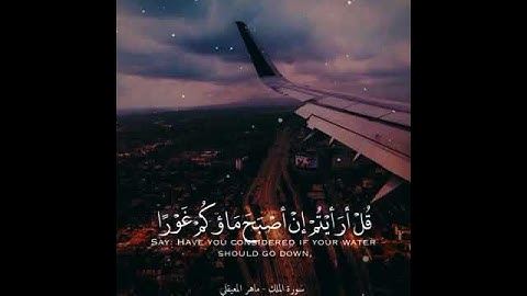 #الله #Allah #قرآن  قران كريم بصوت ماهر المعيقلي اجمل حالات واتس اب قران 🌹🌸 راحه لقلبك 💟