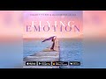 Andrey Pitkin & Alexander Gecko - Flying Emotion (Origina Mix)