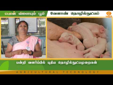 New technologies in pig farming | Agri Technology
