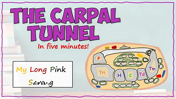 The Carpal Tunnel