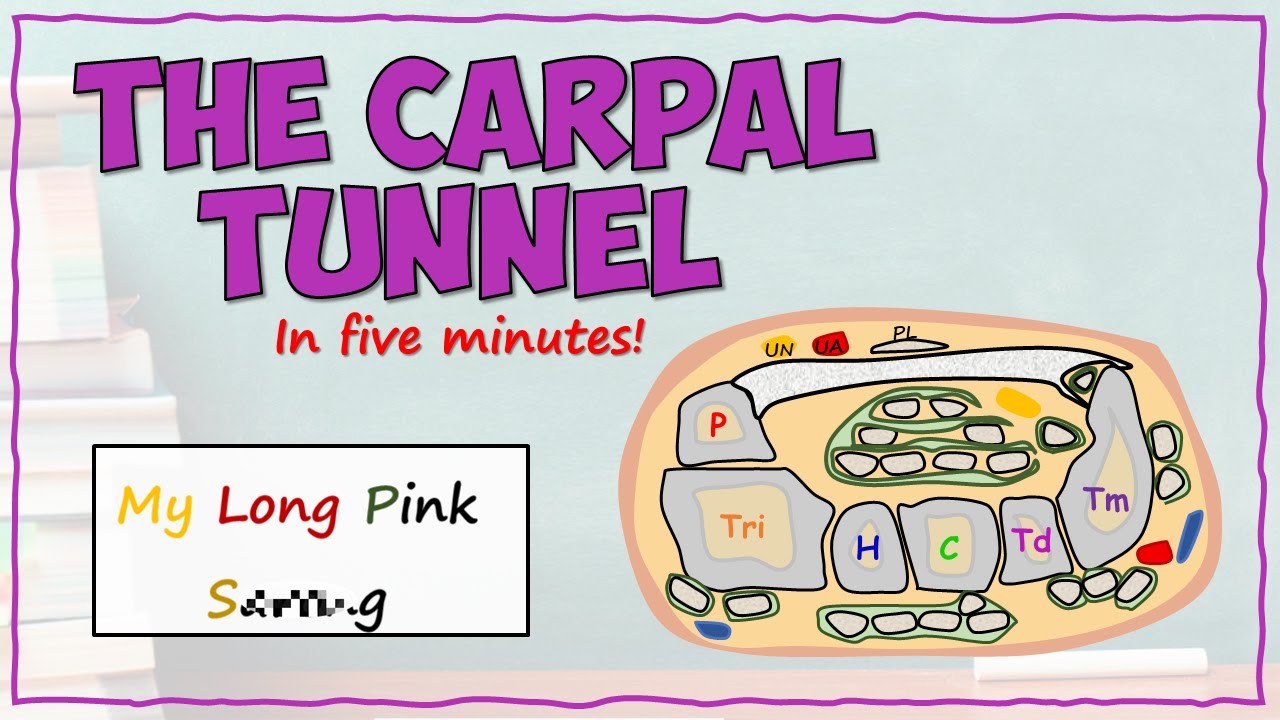 Запястный канал