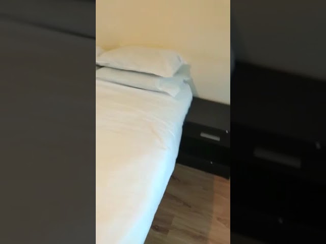Video 1: