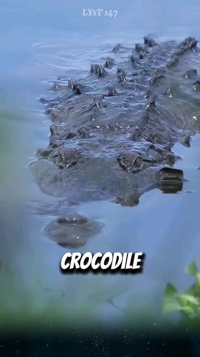 Top 3 animals that can survive the longest without food. #crocodile #