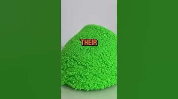 6 Shocking Unethical Life Hacks You Won’t Believe Exist!