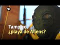 Ovnis de Tampico, ¿por qué en Tamaulipas creen en extraterrestres?