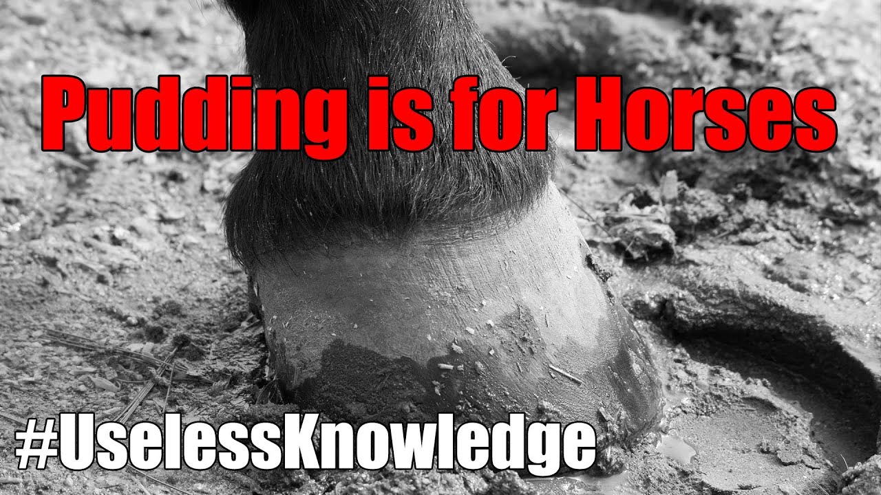 Pudding is for Horses UselessKnowledge YouTube