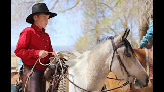 Cool Whip: Fantastic, flashy, friendly 4 yr old, 13 h buckskin paint gelding... great for the family