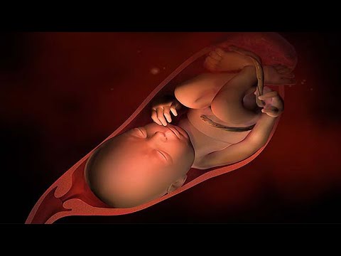 7 اسباب تؤدى الى ضغط الجنين على المهبل فى الشهر الثامن وهل يؤدى الى الولادة المبكرة