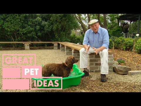 Video: Hur man skapar en rolig och säker sommargård för din hund