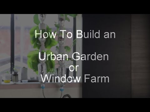 วีดีโอ: Urban Window Garden: วิธีทำสวนสมุนไพรไฮโดรโปนิกส์
