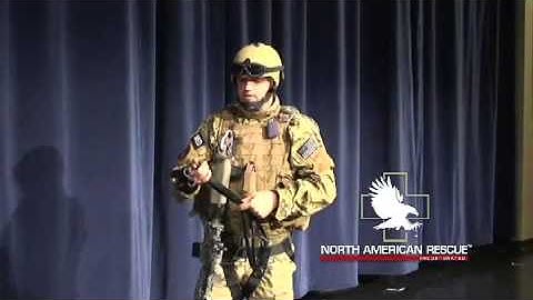 Dragon Handle System Extraction