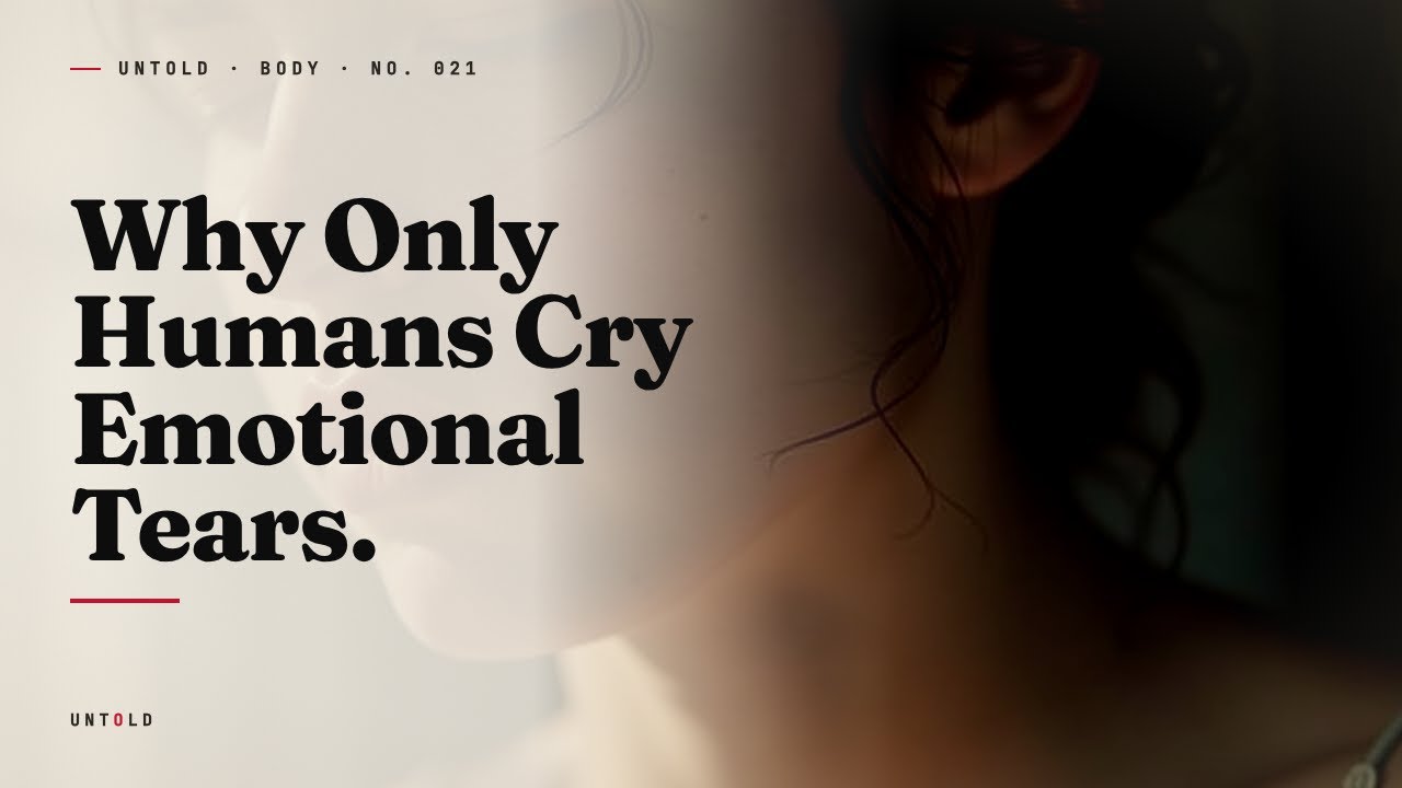 Watch the companion essay on YouTube
