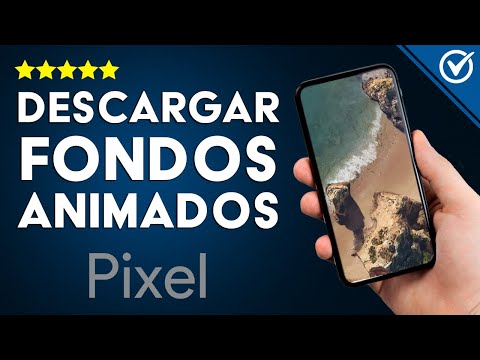 Cómo descargar fondos animados y wallpapers de GOOGLE PIXEL en cualquier móvil Android