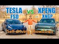 We put tesla fsd beta up against its chinese competition