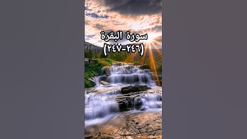 #القرآن_الكريم #اكسبلور #sheikhmansouralsalimi #duet #دويتو #تيك_توك #لايك #راحة_نفسية #سورة_البقرة