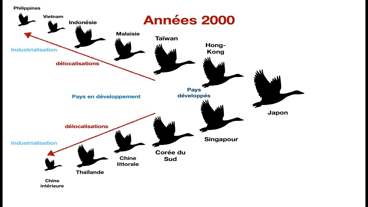 Высота полета птиц. Парадигма летящих гусей. Теория летящих гусей. Модель летящих гусей.