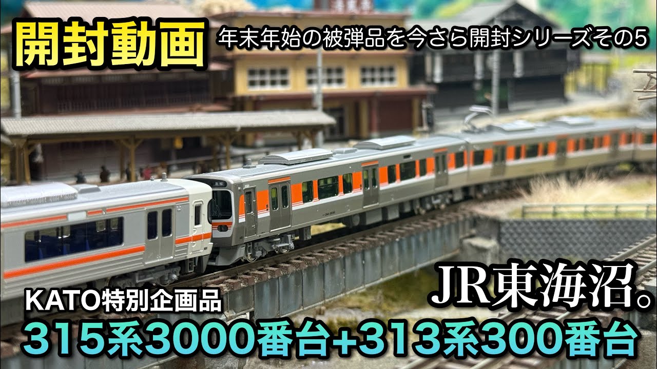 N Gauge Model Railway] KATO has also released a 315 series, so I